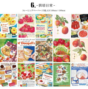 o  Be[Wy[p[ gy f _ g[VOy[p[ wi fރy[p[ fގ fUCy[p[ R[W f WNW[i fR[V A