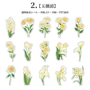 o CO XebJ[ V[ R[W f ԕ NAV[ 30 PETf ϐ t[NV[ WNW[i XNbvubLO 蒠 V[ F F sN F K