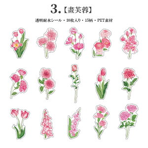 o CO XebJ[ V[ R[W f ԕ NAV[ 30 PETf ϐ t[NV[ WNW[i XNbvubLO 蒠 V[ F F sN F K