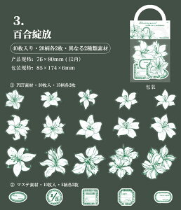 o Ԃт ԕ KN  40 ϐ NAV[ }XeV[ R[Wf Vv  傫 PF mg[ mN t[NV[ R[W f fR[V