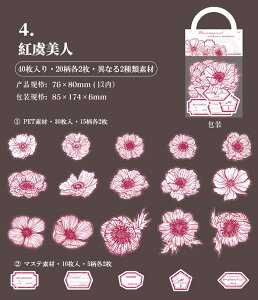 o Ԃт ԕ KN  40 ϐ NAV[ }XeV[ R[Wf Vv  傫 PF mg[ mN t[NV[ R[W f fR[V