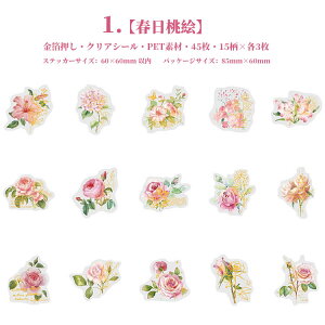 o  COXebJ[ NAV[ t[NV[  NAV[ R[W f Zbg 45 J[ ؂₩ WNW[i fR[VV[ 蒠 V[ PETf