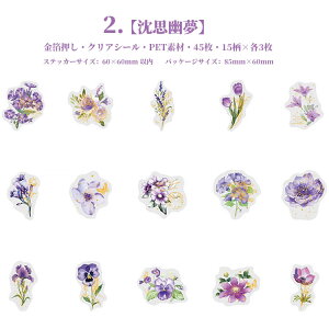 o  COXebJ[ NAV[ t[NV[  NAV[ R[W f Zbg 45 J[ ؂₩ WNW[i fR[VV[ 蒠 V[ PETf