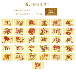 o Be[W y[p[ t `Pbg  62 R[Wf AeB[N  ubN  m[g re[W  io[ g   蒠fR f