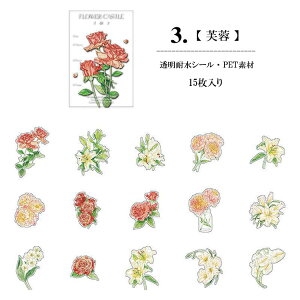 o V[ 傫  t[ t[NV[ COXebJ[ R[W f COV[ NA PET ϐ WNW[i fRV[ fR[V ̉ F̉ [