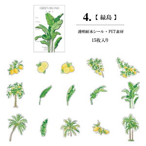 o V[ 傫  t[ t[NV[ COXebJ[ R[W f COV[ NA PET ϐ WNW[i fRV[ fR[V ̉ F̉ [