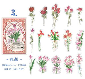 o NAV[ V[ 傫  t[ t[NV[ COV[ R[W f Zbg XebJ[ 30 PET ϐ WNW[i fRV[ fR[V 