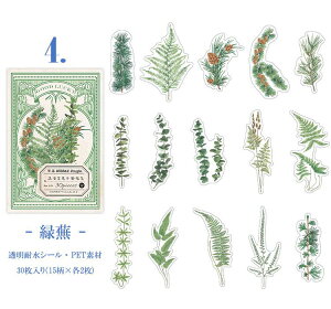 o NAV[ V[ 傫  t[ t[NV[ COV[ R[W f Zbg XebJ[ 30 PET ϐ WNW[i fRV[ fR[V 