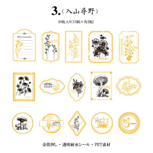 o  NAV[ z g t[ V[ COXebJ[ g R[W f Zbg fR[V WNW[i AeB[N COV[ ϐ  KN [Y 