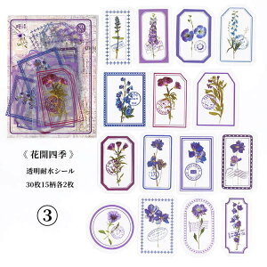 o V[ t[NV[ COV[ 30 R[W f  t[ g g NA V[ PET COXebJ[ fR[V WNW[i 蒠V[ nhC