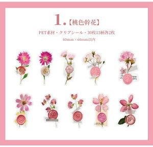 o V[ V[O bNX X^v  t[ t[NV[ COXebJ[ R[Wf g 낤 X 30 re[W AeB[N 蒠 COV[ NAV