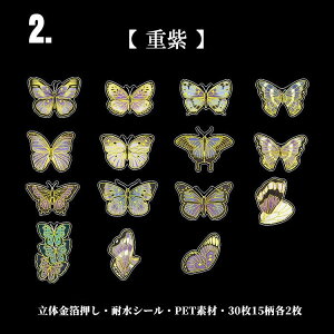 o   t[NV[   NAV[ CO R[W f Zbg fR[V XebJ[  z X o^tC 30 PETf ϐ XNbvubN X