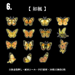 o   t[NV[   NAV[ CO R[W f Zbg fR[V XebJ[  z X o^tC 30 PETf ϐ XNbvubN X