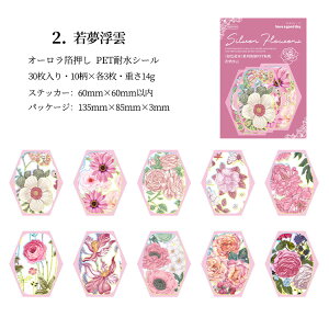 o NAV[ ┓ I[ 30 R[W f   t[ ϐ COV[ t[NV[ V[ R[Wf PETf 蒠 V[  I[ XebJ[