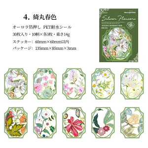 o NAV[ ┓ I[ 30 R[W f   t[ ϐ COV[ t[NV[ V[ R[Wf PETf 蒠 V[  I[ XebJ[