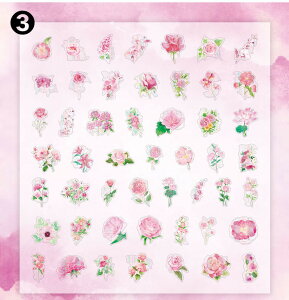 o  NAV[ 5050  t[NV[ CO V[ R[W f V[  t[ ԕ A KN [Y COXebJ[ sN bh  u[ F P