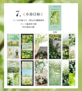 o CO V[ubN e ّf 20Â ^ R[Wf Zbg PET V[ ϐ COV[ t[ V[ COXebJ[ W[i fR[V f w