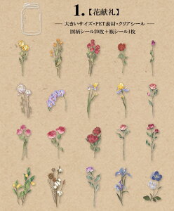 o COXebJ[ 傫TCY V[ CO R[Wf Zbg 21 Ɏq r V[ ϐ V[ hCt[ t[NV[ NA PET WNW[i 蒠 fR X