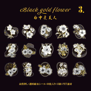 o   ̊  t[NV[ COV[ V[ NAV[   mg[ ϐ PET R[W f COXebJ[ fR[V NA A  t