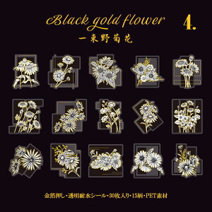 o   ̊  t[NV[ COV[ V[ NAV[   mg[ ϐ PET R[W f COXebJ[ fR[V NA A  t