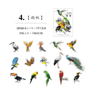 o NAV[ V[ N₩ M  CXg V[  XebJ[ PETf ϐ CXgXebJ[ R[W f Zbg COXebJ[ Mђ  CR IInV 