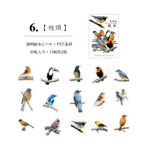 o NAV[ V[ N₩ M  CXg V[  XebJ[ PETf ϐ CXgXebJ[ R[W f Zbg COXebJ[ Mђ  CR IInV 