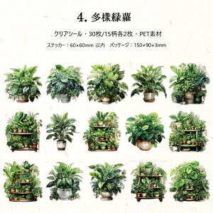 即日出荷 観葉植物 クリアシール コラージュ素材 シール 動物柄 縁起 良い 観葉 植物柄 多肉植物 観賞植物 鉢植え イラスト シール 30枚15柄 コラージュ 素材 シール PET 透明 耐水 緑 グリーン