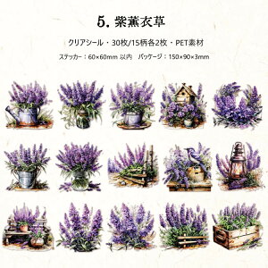 o ϗtA NAV[ R[Wf V[  N ǂ ϗt A A ϏܐA A CXg V[ 3015 R[W f V[ PET  ϐ  O[ 