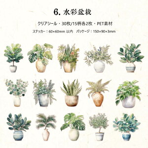 o ϗtA NAV[ R[Wf V[  N ǂ ϗt A A ϏܐA A CXg V[ 3015 R[W f V[ PET  ϐ  O[ 