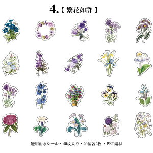 o NAV[ t[NV[ COXebJ[  ϐ _CJbg V[ R[W f Zbg 40 PET  t[ A Cm  t[c NAV[ WNW