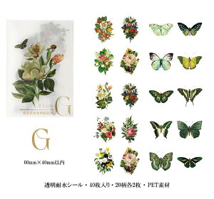 o NAV[ t[NV[   KN [Y ϐ COXebJ[ R[W f Zbg 4020 J[ WNW[i fR[VV[ 蒠 V[ PETf A