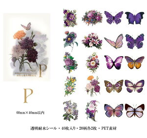 o NAV[ t[NV[   KN [Y ϐ COXebJ[ R[W f Zbg 4020 J[ WNW[i fR[VV[ 蒠 V[ PETf A