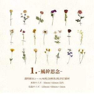 o  t[ V[ COXebJ[ COV[ t[NV[ 40 NA PETf WNW[i 蒠fR R[W f fR[V fRV[ ϐ A t V