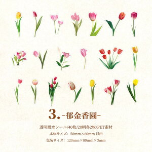 o  t[ V[ COXebJ[ COV[ t[NV[ 40 NA PETf WNW[i 蒠fR R[W f fR[V fRV[ ϐ A t V
