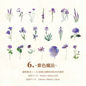 o  t[ V[ COXebJ[ COV[ t[NV[ 40 NA PETf WNW[i 蒠fR R[W f fR[V fRV[ ϐ A t V