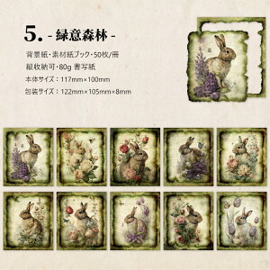 o COfUCy[p[ g Be[W y[p[ wi fގubN 50 fރy[p[  R[W f Zbg AeB[N g    z g ԕ A 