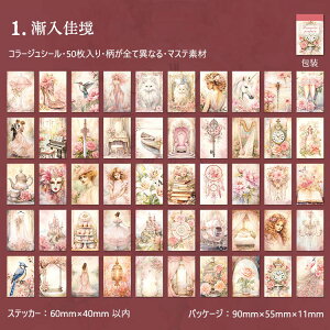 o V[ubN 50 }XeV[ R[W f _ z CXg V[ ~jXebJ[ubN l d Vg    z n G G Cm z r   ԕ