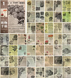 [ V[ubN 50/ {^Cv c[ e ȃXy[X AeB[N g }Xe XebJ[ubN 50 V[V[g R[Wf Hi Vs p V[ lV[ 