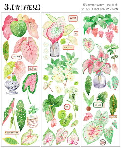 o ϐV[ 6V[g ϗtA A ̉ t[c R[Wf PET ϐ XebJ[ NA V[V[g ~jϗt t     XNbvubLO W