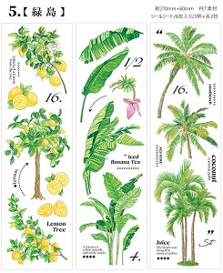 o ϐV[ 6V[g ϗtA A ̉ t[c R[Wf PET ϐ XebJ[ NA V[V[g ~jϗt t     XNbvubLO W