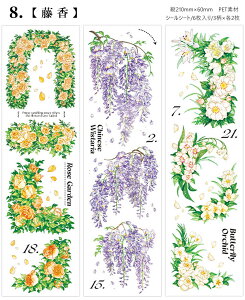 o ϐV[ 6V[g ϗtA A ̉ t[c R[Wf PET ϐ XebJ[ NA V[V[g ~jϗt t     XNbvubLO W