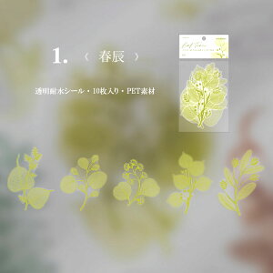 o 傫 V[ t NAV[ R[Wf Zbg PET WNW[i fR[V ϐ  ̊ 蒠 F  hC t G H zCg CO