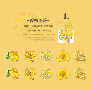 o  Ԃт 傫 ؂₩ PET ϐ V[ R[Wf [Y KN z AWTC [WTCY NAV[ 蒠 V[ ԕ CXgV[ WNW[i 