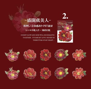 o  Ԃт 傫 ؂₩ PET ϐ V[ R[Wf [Y KN z AWTC [WTCY NAV[ 蒠 V[ ԕ CXgV[ WNW[i 