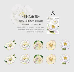 o  Ԃт 傫 ؂₩ PET ϐ V[ R[Wf [Y KN z AWTC [WTCY NAV[ 蒠 V[ ԕ CXgV[ WNW[i 