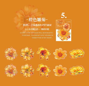 o  Ԃт 傫 ؂₩ PET ϐ V[ R[Wf [Y KN z AWTC [WTCY NAV[ 蒠 V[ ԕ CXgV[ WNW[i 