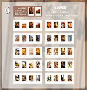 o I[ V[ubN ^ 8020V[g CO R[W f e R[Wf Zbg CX^ V[ ʐ^ i ̖͗l   XebJ[ I[ 