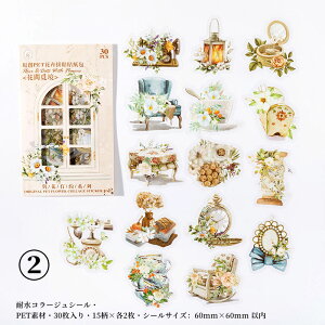 o NAV[ R[W f  V[ 30      ԕ G [ NW Cm r  ϗtA 蕨 ϐ t[NV[ XNbvubLO