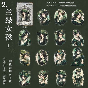 o lV[ NAV[ 傫 SVbN SX CXg V[ X`[pN LN^[ XebJ[ R[Wf l V[ 30 PET V[ ϐ  ̎q O