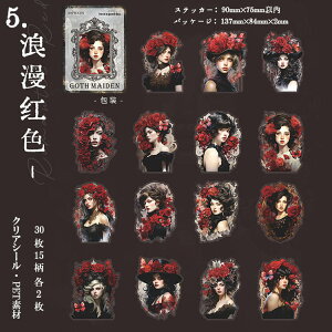 o lV[ NAV[ 傫 SVbN SX CXg V[ X`[pN LN^[ XebJ[ R[Wf l V[ 30 PET V[ ϐ  ̎q O